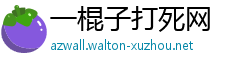 一棍子打死网